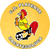 https://img.baizhiqd.com/img/football/team/63b0933cc303927659846a4ed54b1522.png